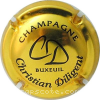 capsule champagne  1- Initiales, Nom 