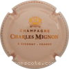 capsule champagne  6- Nom, Epernay, ligne de points sur la jupe 