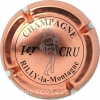 capsule champagne 1er cru 