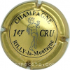 capsule champagne 1er cru 