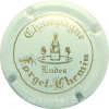 capsule champagne Bouteille et vert 