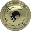 capsule champagne Bulles 