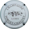 capsule champagne Série 1 - Vigne 