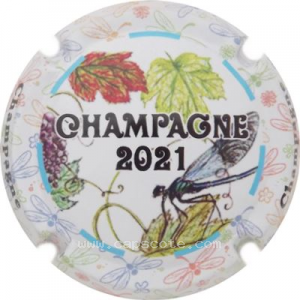 capsule champagne GENERIQUE. Puzzle, Champagne, Année