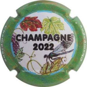 capsule champagne GENERIQUE. Puzzle, Champagne, Année