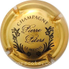 capsule champagne  5- Le mesnil sous le nom 