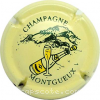 capsule champagne Bouteille et vert 
