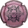 capsule champagne Champagne 