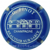 capsule champagne Dessin de maison 