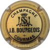 capsule champagne Ecusson et nom 