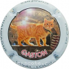 capsule champagne Gaston, le chat 