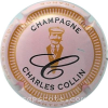 capsule champagne Série 07  Stries, nom en bas 