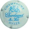 capsule champagne Série 1 - Ecusson, nom horizontal fantaisie 
