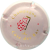 capsule champagne Série 1 Flute avec inscription 