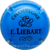 capsule champagne Série 2 - Petites initiales, nom horizontal 